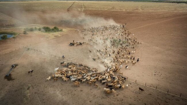 Large holdings: The Hughes family’s Lake Nash Station in the Northern Territory.