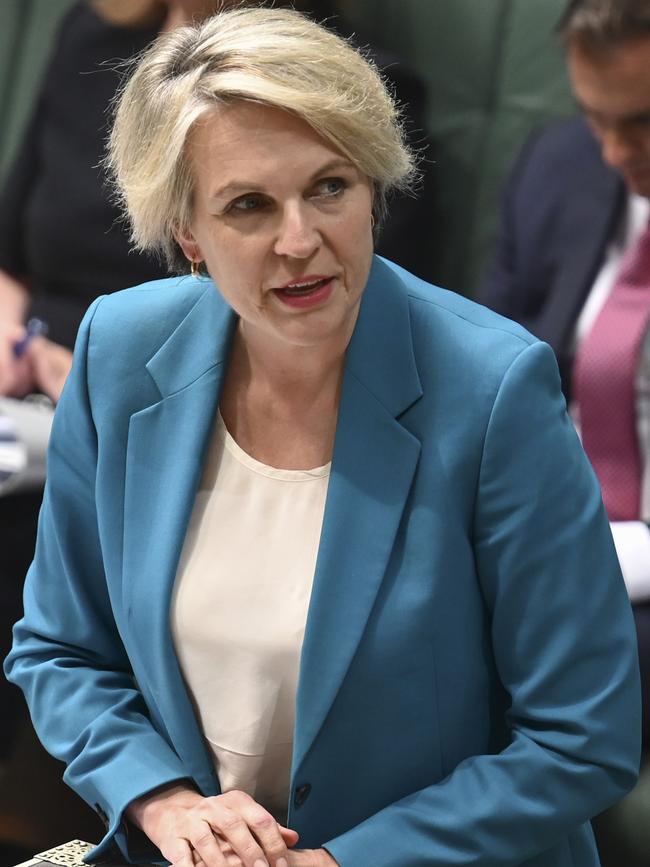 Minister for Environment and Water Tanya Plibersek. Picture: NCA NewsWire/Martin Ollman