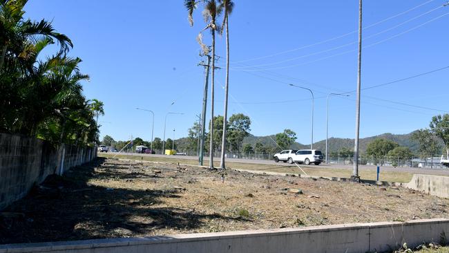 Rhonda Lapish at her Annandale home adjacent to University Drive where tree cover had been cut down. Picture: Evan Morgan