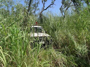 A rural fire unit almost entirely hidden in gamba grass Picture: Sue Whatley Bush Fires NT