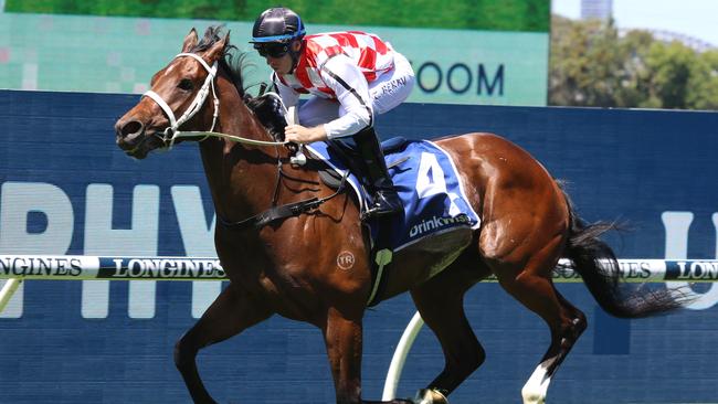 The Chris Waller-trained Waterford can end the day at Randwick on a high note. Picture: Grant Guy
