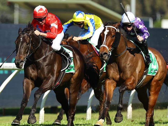 SYDNEY, AUSTRALIA - AUGUST 31:  Nash Rawiller riding Too Much Caviar wins Race 5 Cabra-Vale Diggers during Sydney Racing at Rosehill Gardens on August 31, 2024 in Sydney, Australia. (Photo by Jeremy Ng/Getty Images)