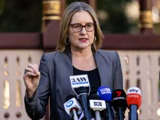MELBOURNE, AUSTRALIA - NewsWire Photos - 28 MAY 2024: Victorian Premier Jacinta Allan speaks to the media during a press conference. Picture: NewsWire / Diego Fedele