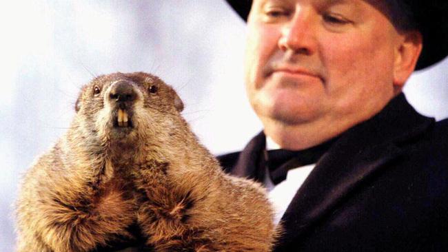 03/02/1998 PIRATE: 2/2/1998. 'Punxsutawney Phil' and his official handler Bill Deeley show off for a crowd of thousands after Phil's annual weather prediction in Punxsutawney, PA. Groundhog Day.