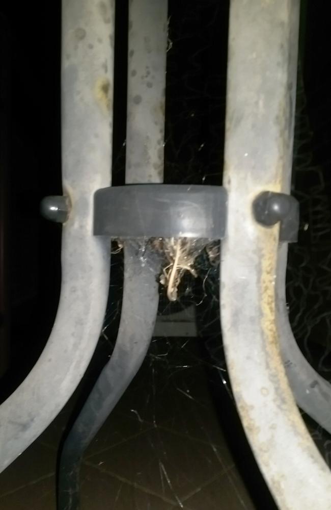 Outdoor furniture covered in spider webs.