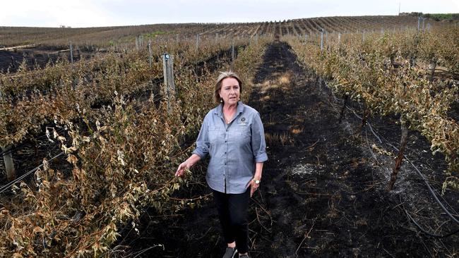 Barristers Block Winery owner Jan Siemelink-Allen in her burnt out vineyard at Woodside. Picture: Tricia Watkinson