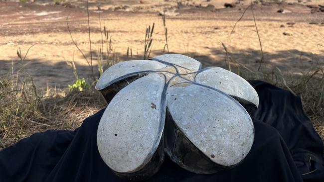 An example of the frangipani art installation which would be part of the East Point Cyclone Tracy memorial. Picture: Elise Graham