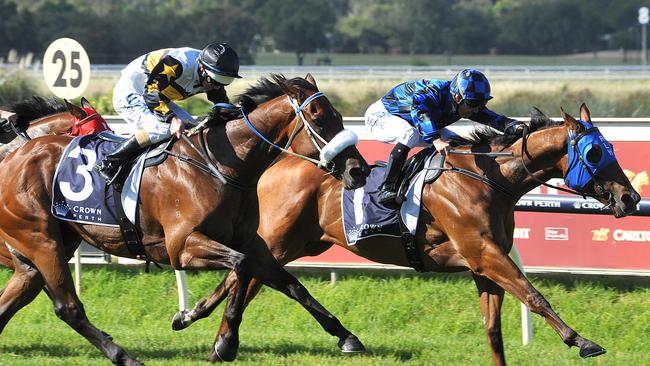 Buffering, right, won the Winterbottom Stakes in 2013. Picture: Graeme Collopy