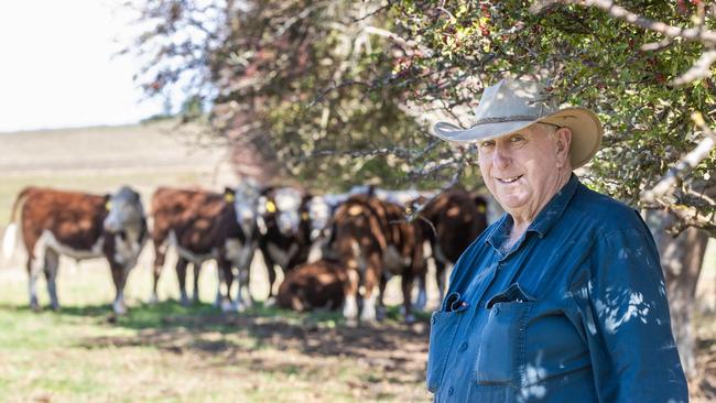 Arthur only purchased 10 steers this year, compared to his usual 60-100.