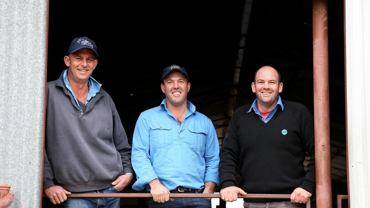 Big scope: Simon Coutts (left), along with Karl and Will Hooke are in charge of an operation covering wool, prime lambs and stud rams. Picture: Andy Rogers