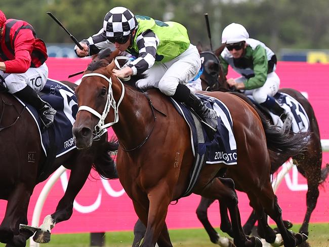 SYDNEY, AUSTRALIA - MARCH 16: James Mcdonald riding Zougotcha wins Race 8 Coolmore Classic during "Chandon Ladies Day" - Sydney Racing at Rosehill Gardens on March 16, 2024 in Sydney, Australia. (Photo by Jeremy Ng/Getty Images)