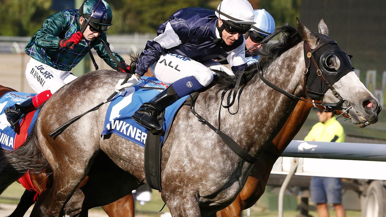 Cox Plate Races Cox plate Fawkner ridden by Nick Hall Picture:Wayne Ludbey