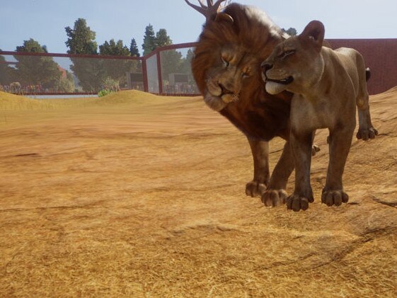 I named these two Simba and Nala. Picture: Steam