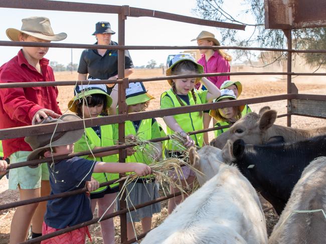 Children feed hay to the farm animals. Picture: Emily Ellis 