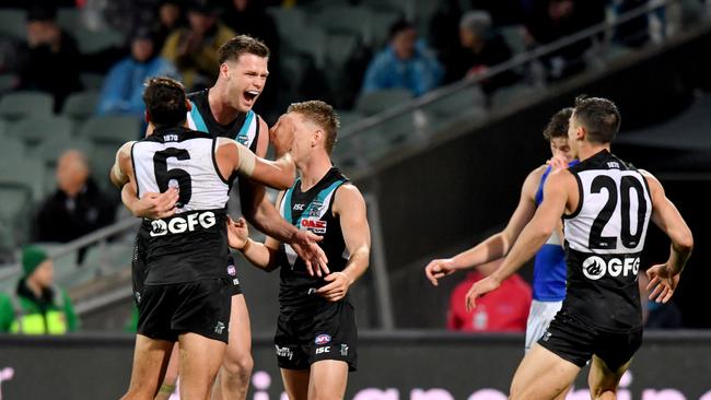 Peter Ladhams celebrates during the game against the Western Bulldogs last month. Picture: AAP/Sam Wundke