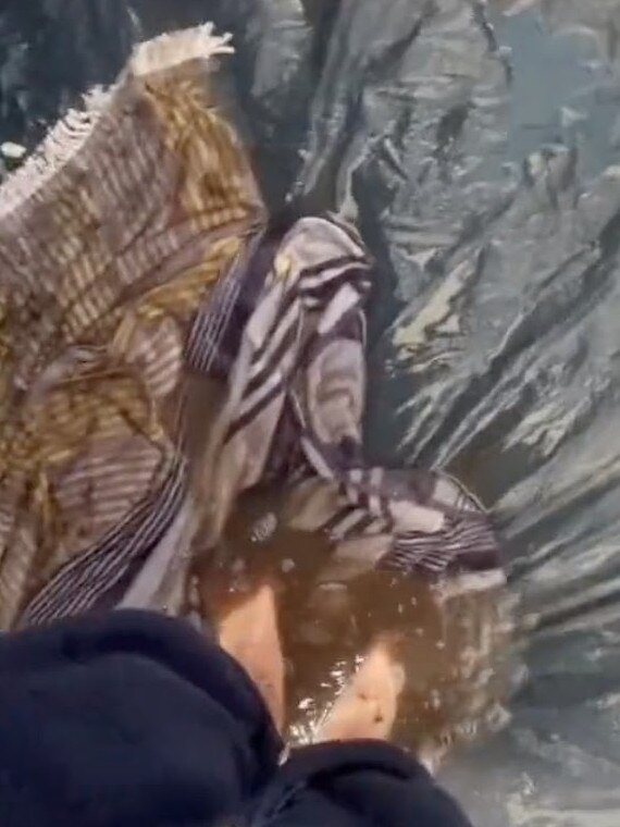 What happens if you forget to pack your waterproof footwear. Picture: TikTok