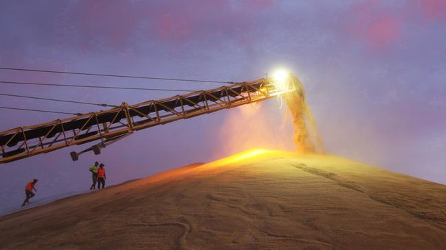 GrainCorp shares spiked after a strong profit result this month. Picture: Supplied