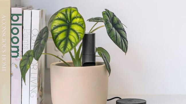 Green thumbs: the Willow sensor in a plant pot