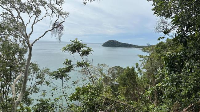 Nestled in the heart of ancient rainforest, Cape Tribulation is a popular Far North Queensland tourism destination with the industry considered the "lifeblood" of the region's economy.