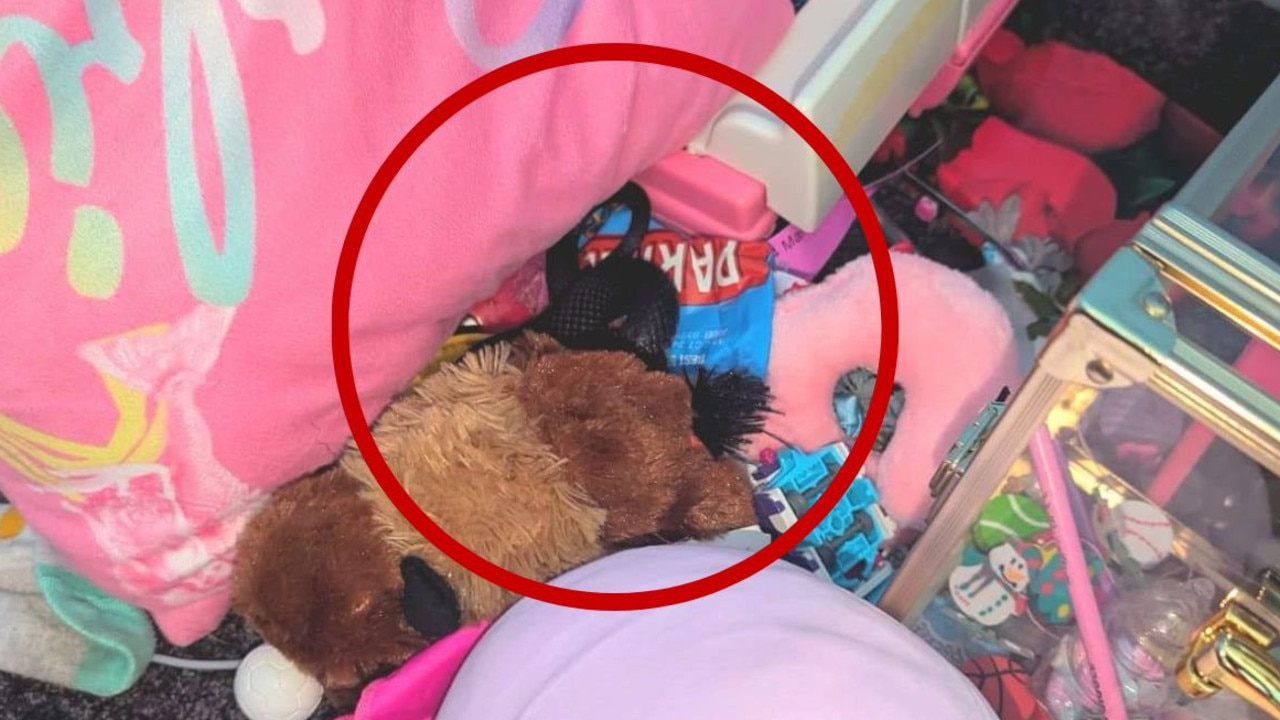 Sydney family find snake in kid’s toy room. Picture: Supplied