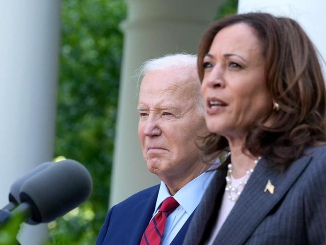 ‘Incompetent’: Democrats ‘screwed themselves on DEI’ with Kamala Harris as VP
