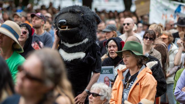 March in March protests in Hobart on Sunday 23rd March 2025 Picture: Linda Higginson