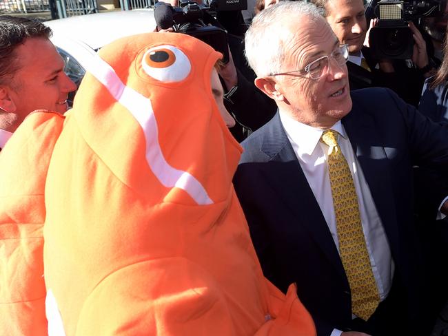 Australian Prime Minister Malcolm Turnbull and Liberal Member for Mayo Jamie Briggs take a selfie with Nemo the fish during a street walk in Stirling in the Adelaide Hills, Friday, June 3, 2016. The electorate of Mayo is held by Liberal MP Jamie Briggs by a margin of 12.5 per cent. (AAP Image/Lukas Coch) NO ARCHIVING