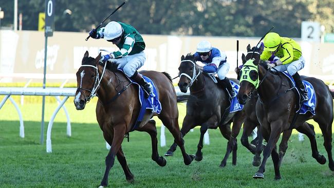 Kerrin McEvoy rides Via Sistina to victory in the Group 1 Winx Stakes at Randwick. Picture: Jeremy Ng/Getty Images