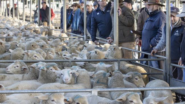 Buyers line the rails at the Bendigo market. Picture: Zoe Phillips