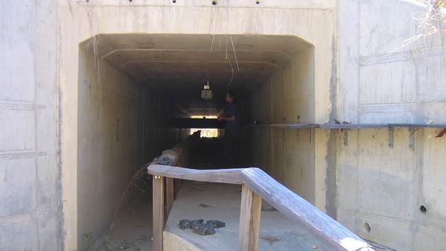 A concrete underpass for wildlife in Brisbane.