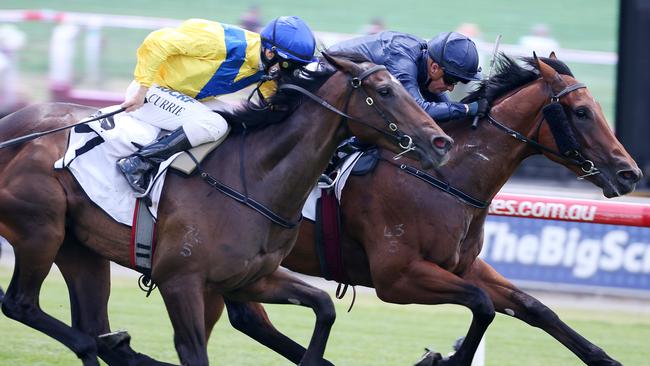 Oohood, left, finished third to Written By in the Blue Diamond. Picture: Michael Klein