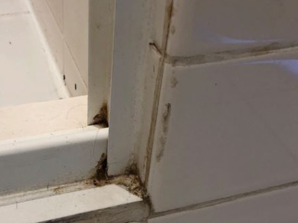 The bathroom had a filthy exhaust fan and also had mould in it, the inquiry heard. Image supplied.