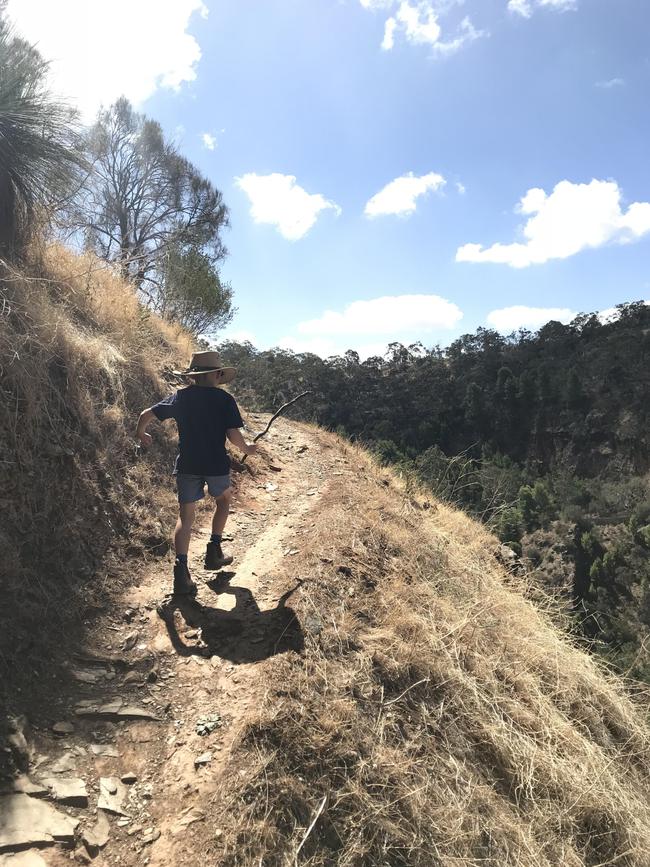 Drew, 6, leads the way on a nature hike up Chambers Gully, Long Ridge and Winter Track, Waterfall Gully.