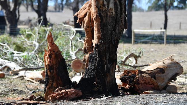 The ute crashed into a tree on Pyrites Road. Picture: Mark Brake