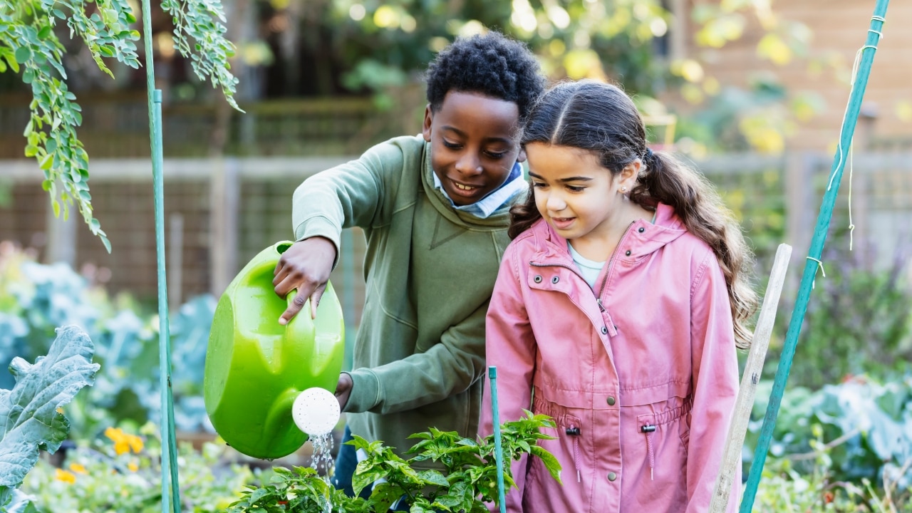 5 ways to make every drop of water count this summer | The Courier Mail