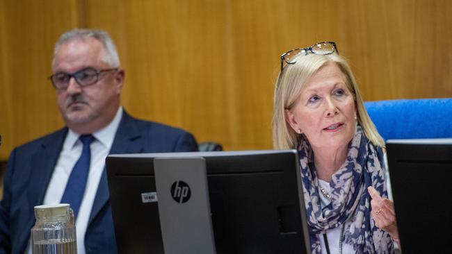 Coffs Harbour City Council general manager Steve McGrath and Mayor Denise Knight at a council meeting.