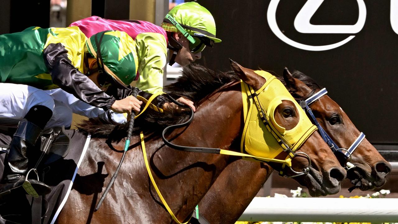Warp Speed went agonisingly close to winning the Melbourne Cup last spring. Picture: AFP