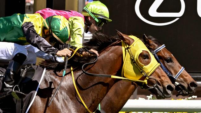 Warp Speed went agonisingly close to winning the Melbourne Cup last spring. Picture: AFP