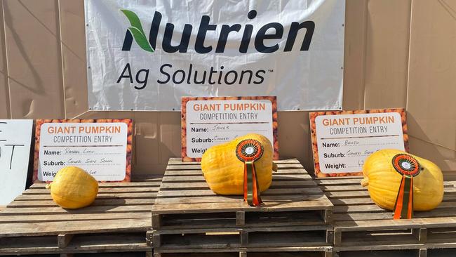 Winners of the giant pumpkin competition at the Goomeri Pumpkin Festival 2021: first place, James from Goomeri State School (44kg); second place, Banjo from Goomeri State School (42kg); third place, Rachel Litfin from Goomeri State School (14kg).