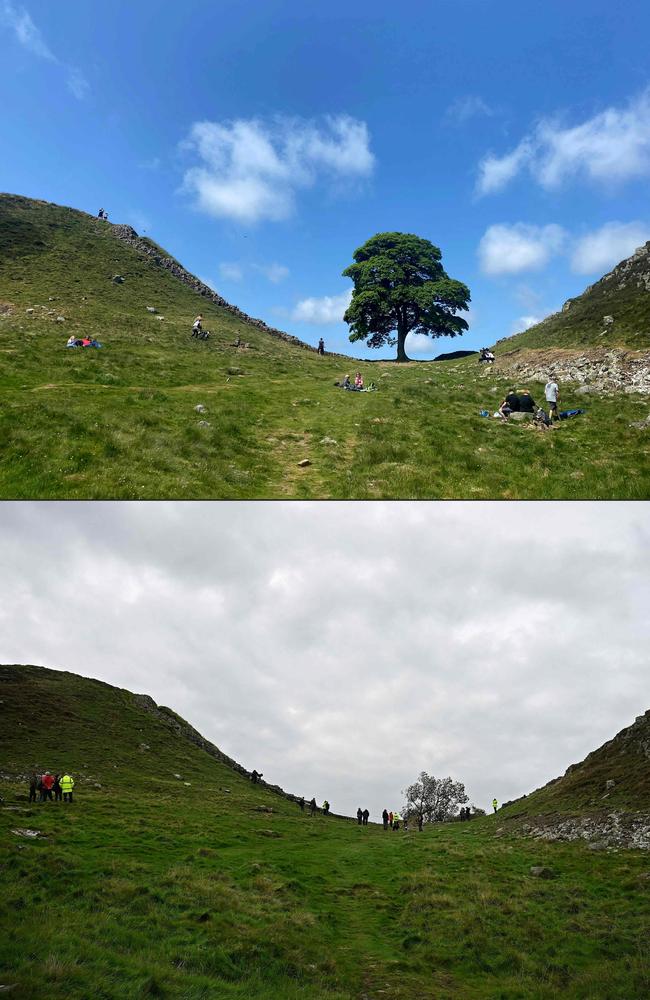 A stark before and after the deliberate felling shows the true magnitude of the devastation. Picture: Oli Scarff / AFP