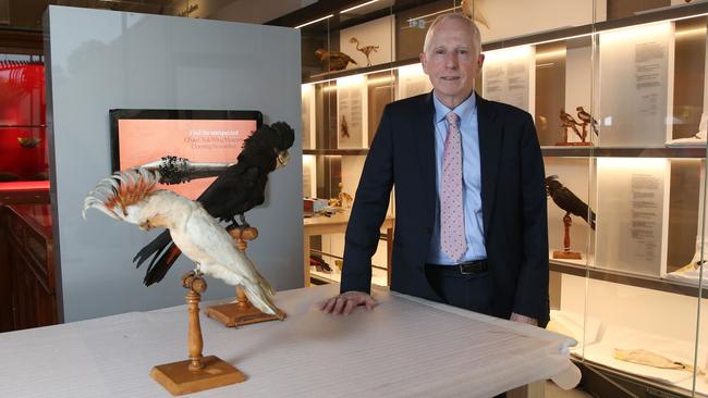 Director David Ellis inside the Chau Chak Wing Museum. Picture: Britta Campion