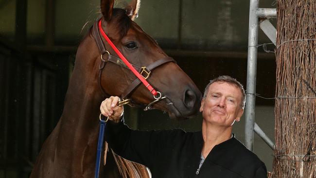 Alligator Blood was a worthy winner of the Queensland horse of the year title.