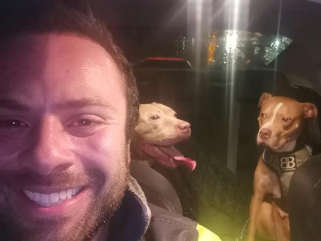 Sammy Wilkinson made a mad dash to the Scottish Border with two XL Bullies. Picture: Facebook