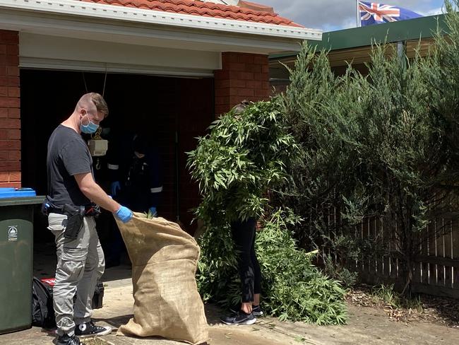 Police seize cannabis from a Point Cook home.