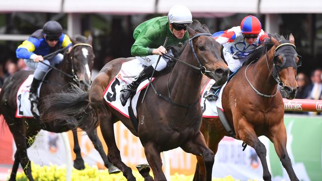 Honest sprinter Fine Dane is a great each-way chance at his return to racing at Sandown on Wednesday. Picture: AAP