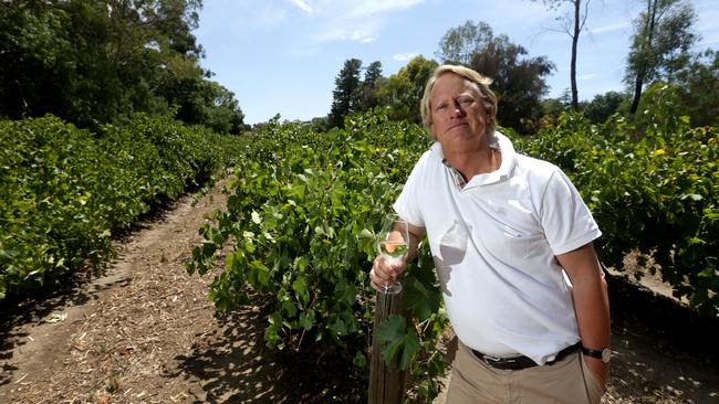 Yalumba chairman Robert Hill-Smith at Angaston in the Barossa Valley.