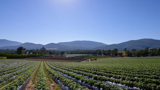 Berry farm for sale: 107 Little Yarra Rd, Yarra Junction, 10ha | The ...