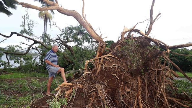 Dave Nougent gets to work in front of his daughters house after a tree fell near her West End home. Picture: Adam Head