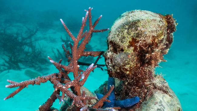 Sculptor Jason DeCaires Taylor's underwater sculptures on display at the John Brewer Reef.