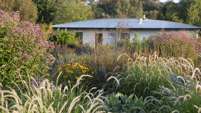 The planting design explores complex layering of mainly perennials and grasses. Picture: Ralph Bristow